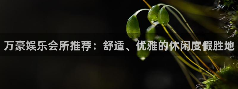 天富平台com：万豪娱乐会所推荐：舒适、优雅的休闲度假胜地