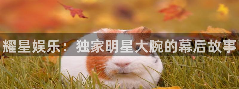 天富平台电子游戏网页版：耀星娱乐：独家明星大腕的幕后故事