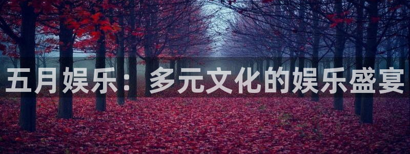 天富平台链接：五月娱乐：多元文化的娱乐盛宴