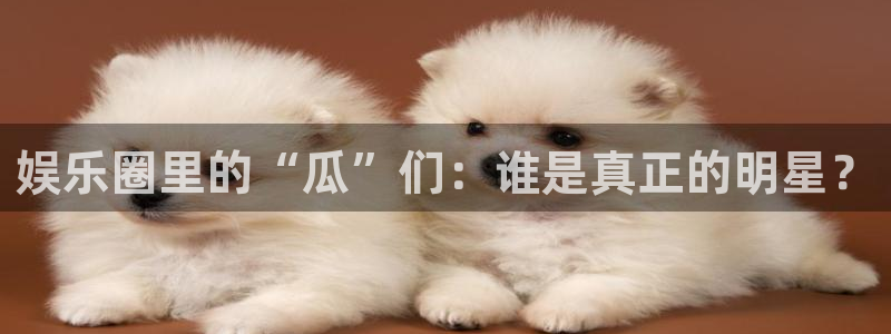 壹号app官方登录入口下载：娱乐圈里的“瓜”们：谁是真正的明星？