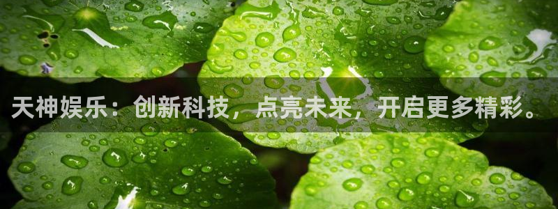 壹号下载安装：天神娱乐：创新科技，点亮未来，开启更多精彩。