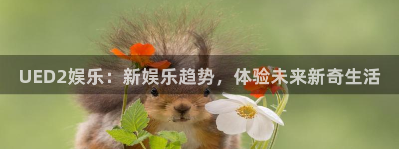 天富平台官网：UED2娱乐：新娱乐趋势，体验未来新奇生活