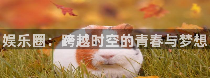 天富平台平台app下载安装：娱乐圈：跨越时空的青春与梦想