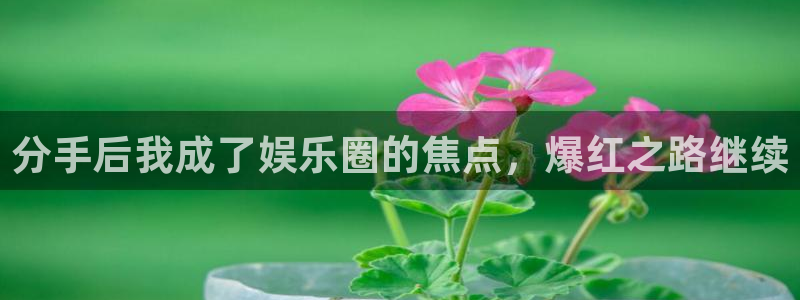 天富平台注册网站链接：分手后我成了娱乐圈的焦点，爆红之路继续
