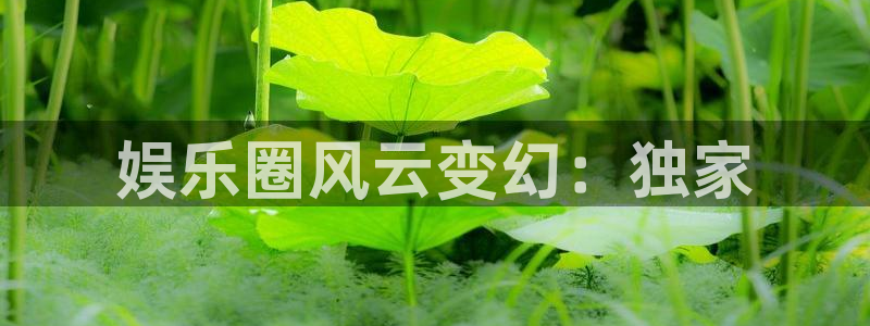 天富平台,com：娱乐圈风云变幻：独家