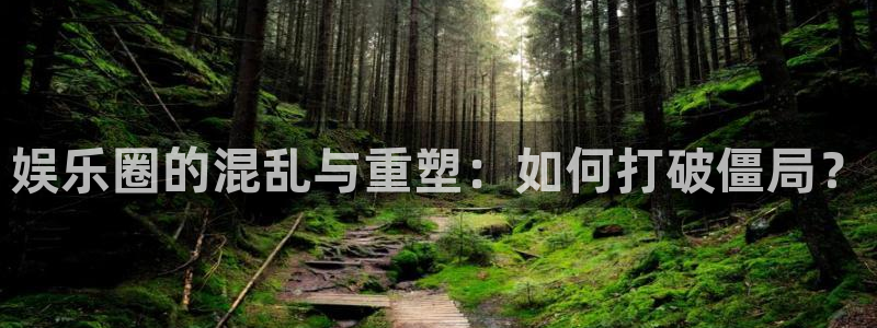 壹号大舞台有梦你就来：娱乐圈的混乱与重塑：如何打破僵局？