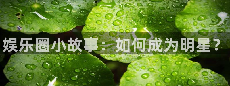 天富平台注册官网入口：娱乐圈小故事：如何成为明星？