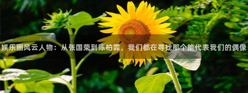 天富平台下载二维码：娱乐圈风云人物：从张国荣到陈柏霖，我们都在寻找那个能代表我们的偶像