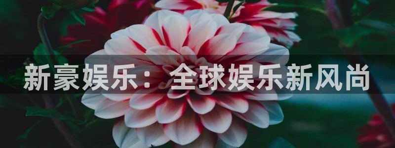 天富平台ccm麻将胡了：新豪娱乐：全球娱乐新风尚