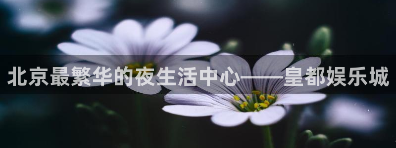壹号大舞台有梦你就来
