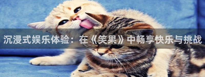 天富平台在线下载：沉浸式娱乐体验：在《笑果》中畅享快乐与挑战