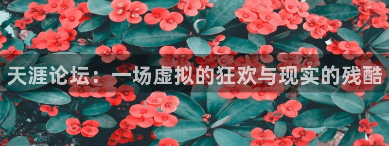 天富平台网站登录流程：天涯论坛：一场虚拟的狂欢与现实的残酷