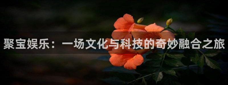 天富平台网站：聚宝娱乐：一场文化与科技的奇妙融合之旅