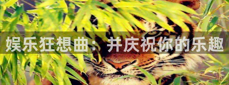 天富平台网站平台登录：娱乐狂想曲：并庆祝你的乐趣
