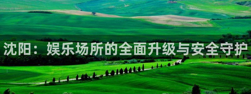 天富平台登录：沈阳：娱乐场所的全面升级与安全守护