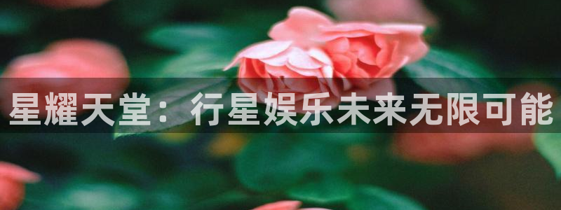 壹号电子娱乐app下载官网：星耀天堂：行星娱乐未来无限可能