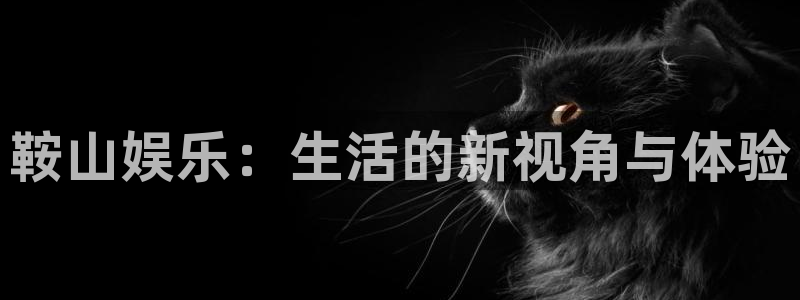 天富平台app下载安装：鞍山娱乐：生活的新视角与体验