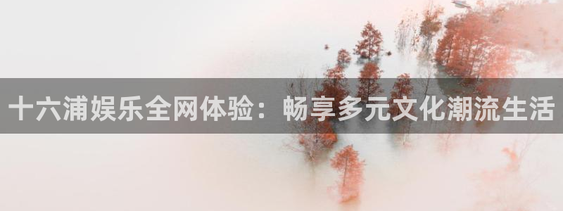 天富平台平台最新版本下载：十六浦娱乐全网体验：畅享多元文化潮流生活