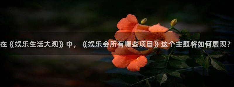 天富平台app下载：在《娱乐生活大观》中，《娱乐会所有哪些项目》这个主题将如何展现？