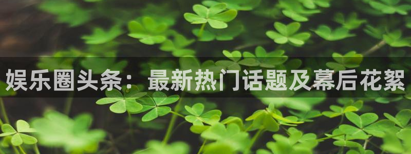 天富平台网址：娱乐圈头条：最新热门话题及幕后花絮