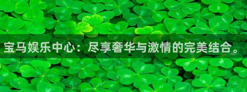 天富平台.ccmpc29官网版下载：宝马娱乐中心：尽享奢华与激情的完美结合。