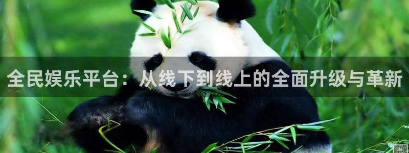 天富平台在线预测：全民娱乐平台：从线下到线上的全面升级与革新