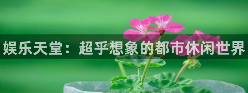 天富平台网页版登：娱乐天堂：超乎想象的都市休闲世界