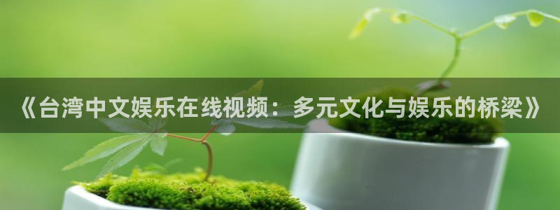 天富平台怎么下载：《台湾中文娱乐在线视频：多元文化与娱乐的桥梁》