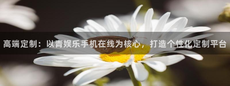 天富平台app下载地址：高端定制：以青娱乐手机在线为核心，打造个性化定制平台