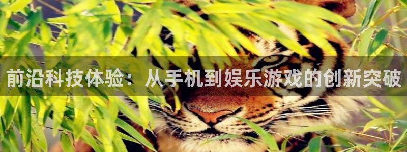 天富平台网站：前沿科技体验：从手机到娱乐游戏的创新突破