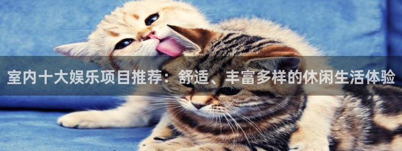 天富平台注册链接入口：室内十大娱乐项目推荐：舒适、丰富多样的休闲生活体验