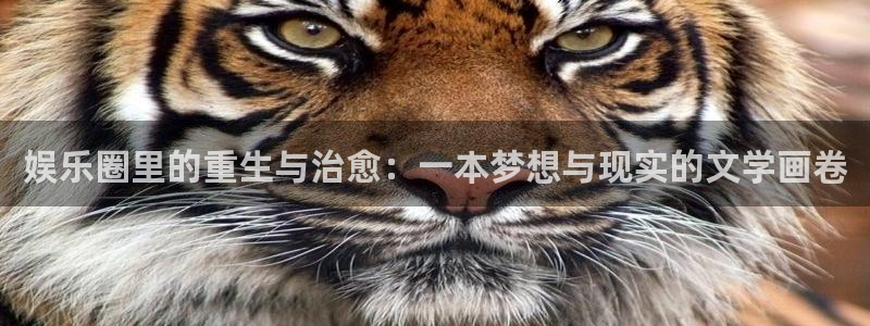 天富平台(com.youad.authst)：娱乐圈里的重生与治愈：一本梦想与现实的文学画卷