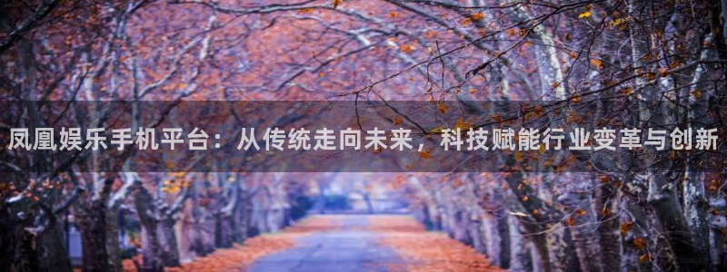 天富平台娱乐：凤凰娱乐手机平台：从传统走向未来，科技赋能行业变革与创新