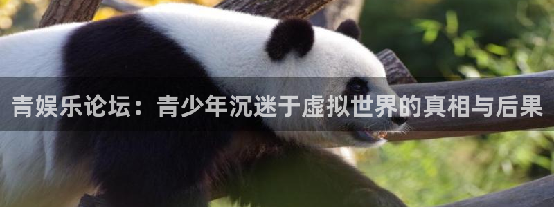 天富平台赏金女王：青娱乐论坛：青少年沉迷于虚拟世界的真相与后果